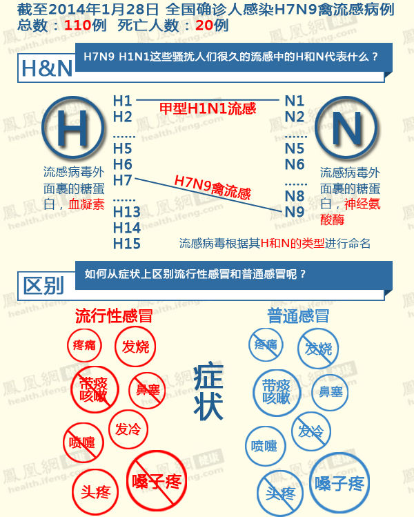 浙江一家三口聚集性H7N9病例 禽流感不会爆发？