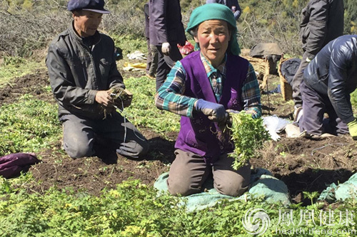 无限极建中草药中心还消费者“安全感”