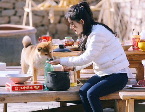 《向往的生活》谢娜突袭蘑菇屋 跟何炅有爱合体