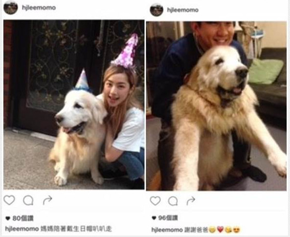 林俊杰秘恋女团团员？定情犬泄露二人暧昧互动