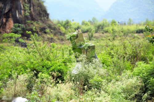 《高能少年团》王俊凯隐匿密林 遭董子健频NG哀怨独唱