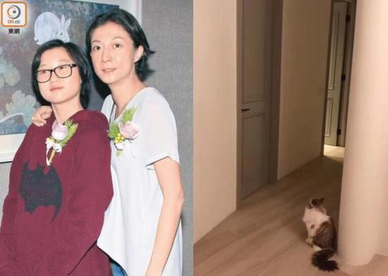 女儿自恐吓事件后至今未回家 吴绮莉晒猫寄托思念